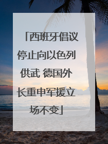 西班牙倡议停止向以色列供武 德国外长重申军援立场不变