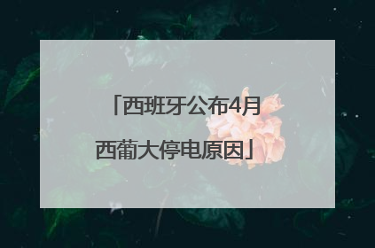 西班牙公布4月西葡大停电原因