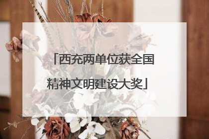 西充两单位获全国精神文明建设大奖
