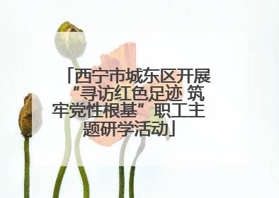 西宁市城东区开展“寻访红色足迹 筑牢党性根基”职工主题研学活动