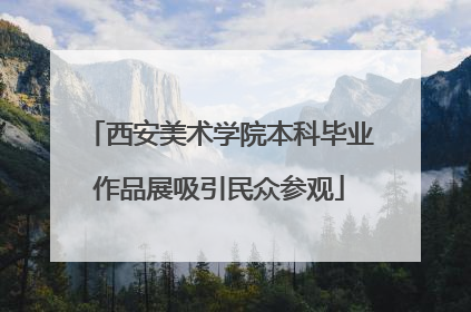 西安美术学院本科毕业作品展吸引民众参观