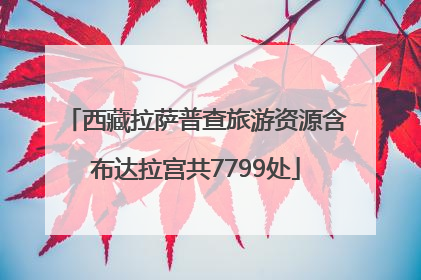 西藏拉萨普查旅游资源含布达拉宫共7799处