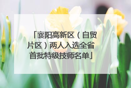 襄阳高新区（自贸片区）两人入选全省首批特级技师名单
