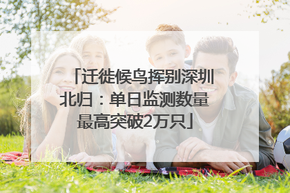 迁徙候鸟挥别深圳北归：单日监测数量最高突破2万只
