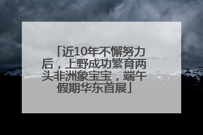 近10年不懈努力后，上野成功繁育两头非洲象宝宝，端午假期华东首展
