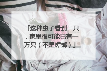 这种虫子看到一只，家里很可能已有一万只（不是蟑螂）