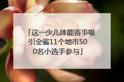 这一少儿体能赛事吸引全省11个地市500名小选手参与