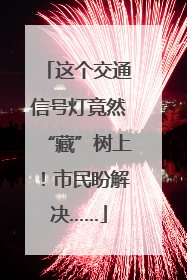 这个交通信号灯竟然“藏”树上！市民盼解决……