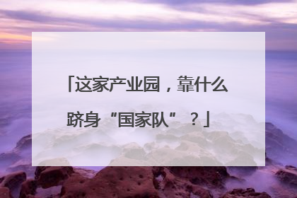 这家产业园，靠什么跻身“国家队”？