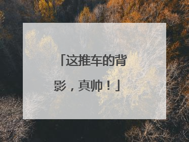 这推车的背影，真帅！