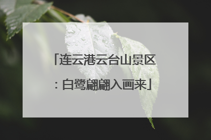 连云港云台山景区：白鹭翩翩入画来
