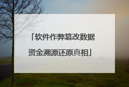 软件作弊篡改数据 资金溯源还原真相