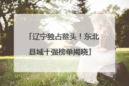 辽宁独占鳌头！东北县域十强榜单揭晓