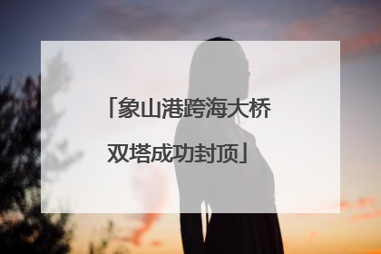 象山港跨海大桥双塔成功封顶