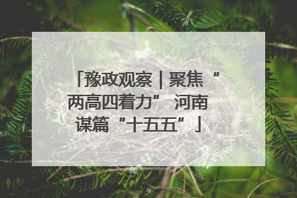 豫政观察｜聚焦“两高四着力” 河南谋篇“十五五”
