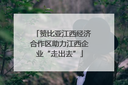 赞比亚江西经济合作区助力江西企业“走出去”