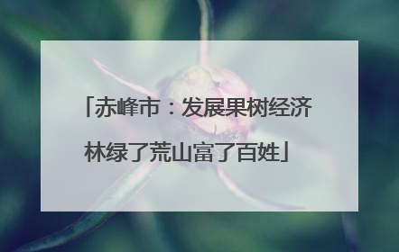 赤峰市：发展果树经济林绿了荒山富了百姓