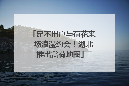 足不出户与荷花来一场浪漫约会！湖北推出赏荷地图