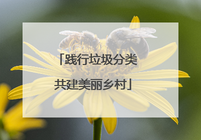 践行垃圾分类 共建美丽乡村