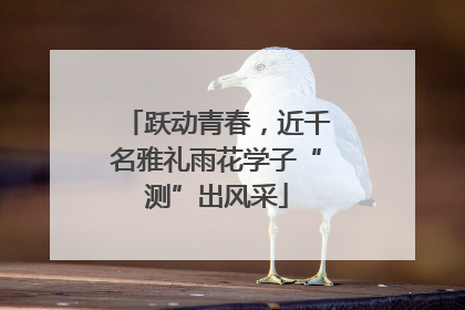 跃动青春，近千名雅礼雨花学子“测”出风采