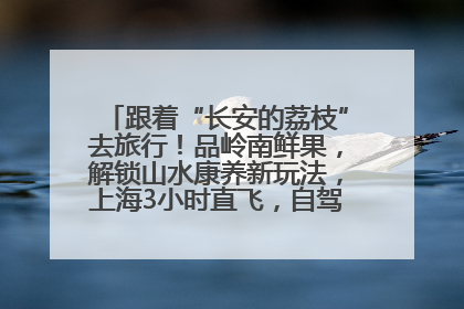 跟着“长安的荔枝”去旅行！品岭南鲜果，解锁山水康养新玩法，上海3小时直飞，自驾高速费优惠