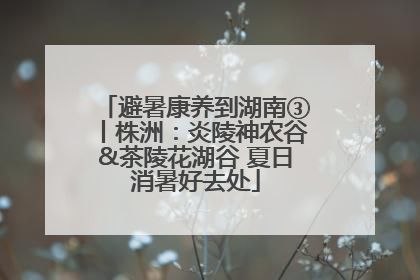 避暑康养到湖南③丨株洲：炎陵神农谷&茶陵花湖谷 夏日消暑好去处