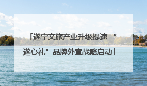 遂宁文旅产业升级提速 “遂心礼”品牌外宣战略启动