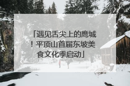 遇见舌尖上的鹰城！平顶山首届东坡美食文化季启动