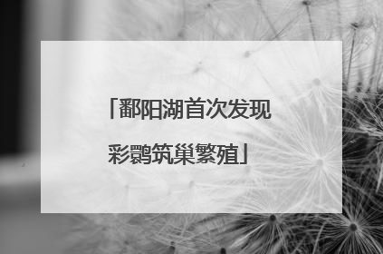 鄱阳湖首次发现彩鹮筑巢繁殖