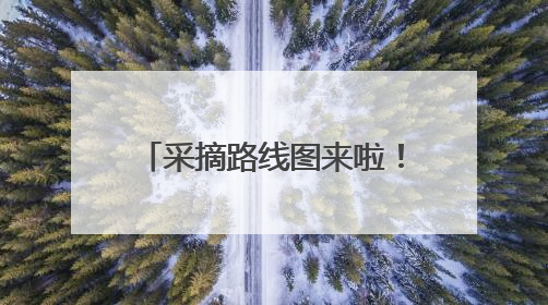 采摘路线图来啦！昌平近5000亩樱桃迎来采摘黄金期