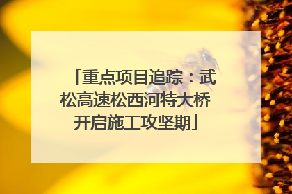 重点项目追踪：武松高速松西河特大桥开启施工攻坚期
