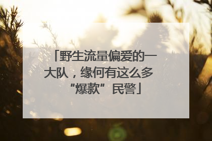 野生流量偏爱的一大队，缘何有这么多“爆款”民警