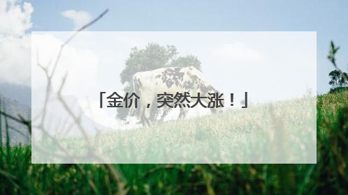 金价，突然大涨！