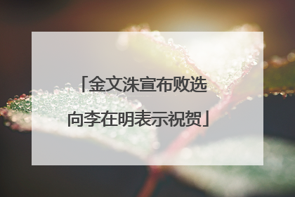 金文洙宣布败选 向李在明表示祝贺