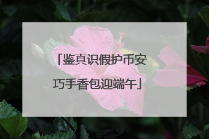 鉴真识假护币安 巧手香包迎端午