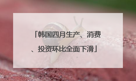 韩国四月生产、消费、投资环比全面下滑