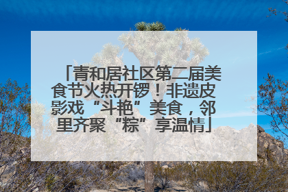 青和居社区第二届美食节火热开锣！非遗皮影戏“斗艳”美食，邻里齐聚“粽”享温情