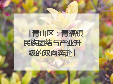 青山区：青福镇民族团结与产业升级的双向奔赴