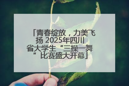 青春绽放，力美飞扬 2025年四川省大学生“三操一舞”比赛盛大开幕