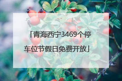 青海西宁3469个停车位节假日免费开放