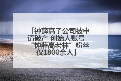 钟薛高子公司被申请破产 创始人账号“钟薛高老林”粉丝仅1800余人