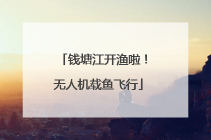 钱塘江开渔啦！无人机载鱼飞行