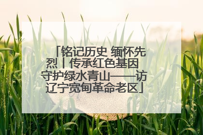 铭记历史 缅怀先烈丨传承红色基因 守护绿水青山——访辽宁宽甸革命老区