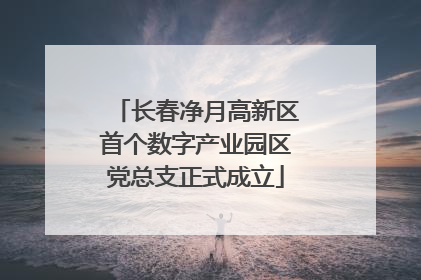 长春净月高新区首个数字产业园区党总支正式成立