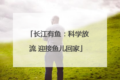 长江有鱼：科学放流 迎接鱼儿回家