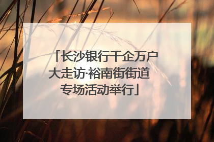 长沙银行千企万户大走访·裕南街街道专场活动举行