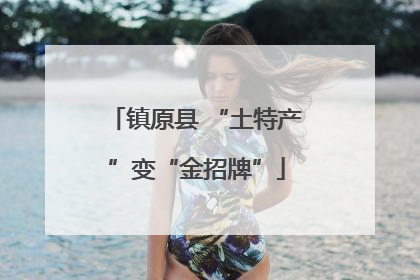 镇原县 “土特产”变“金招牌”