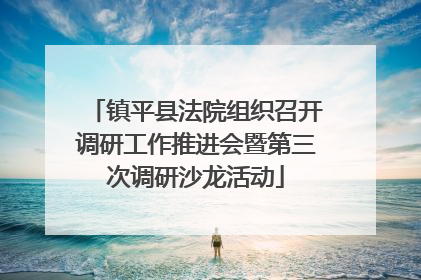 镇平县法院组织召开调研工作推进会暨第三次调研沙龙活动