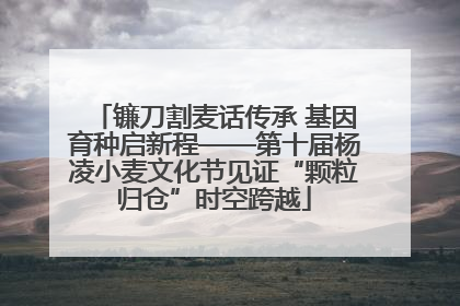 镰刀割麦话传承 基因育种启新程——第十届杨凌小麦文化节见证“颗粒归仓”时空跨越