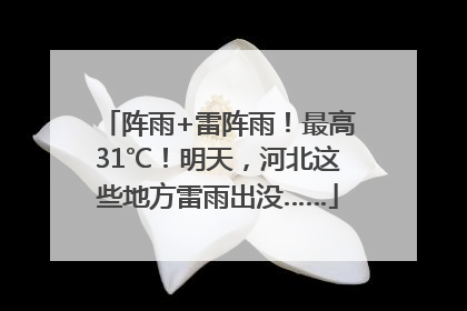 阵雨+雷阵雨！最高31℃！明天，河北这些地方雷雨出没……